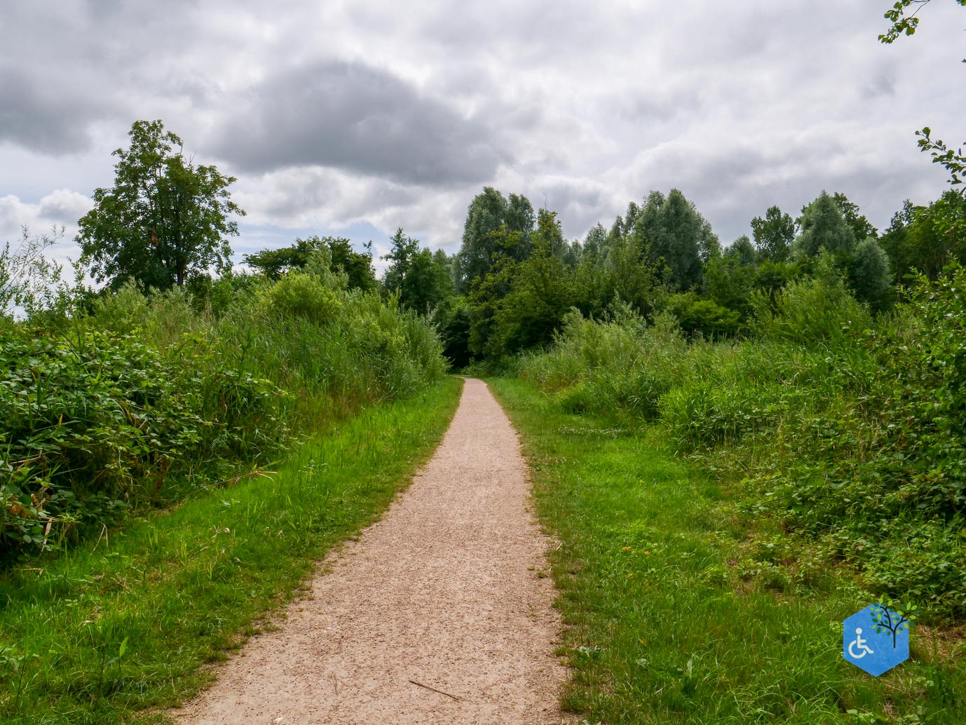 Lelystad_Zuigerplas_03-07-2026-24