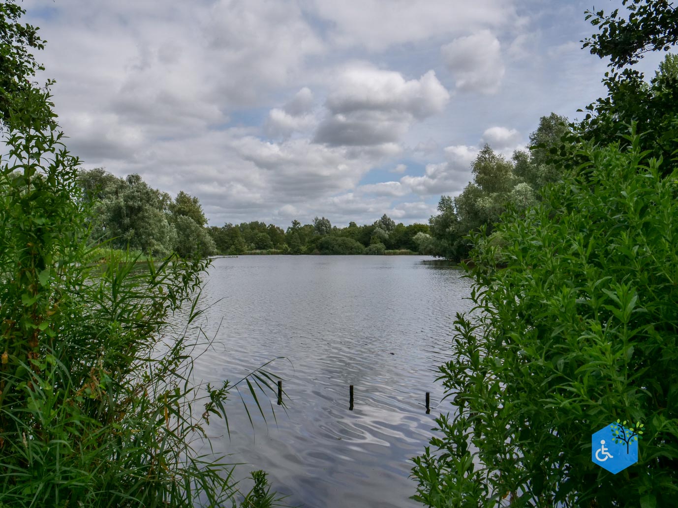 Lelystad_Zuigerplas_03-07-2026-27