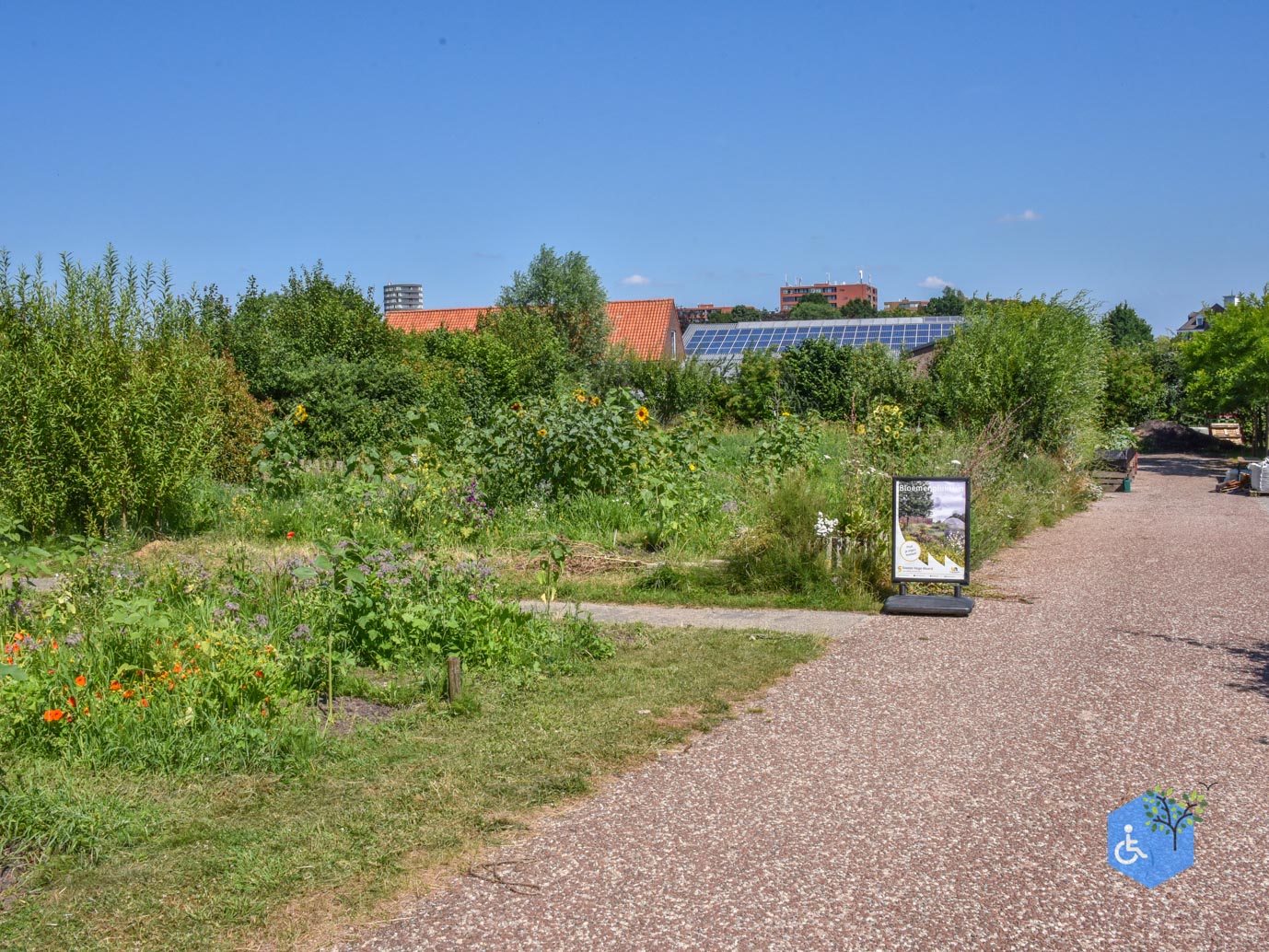 Utrecht_Castellum_Hoge_Woerd_10-07-2026-48