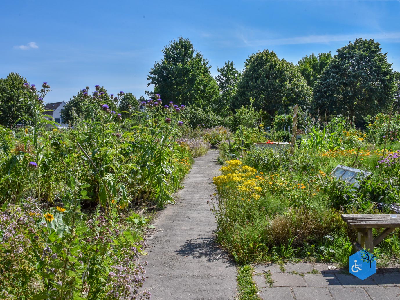 Utrecht_Castellum_Hoge_Woerd_10-07-2026-50