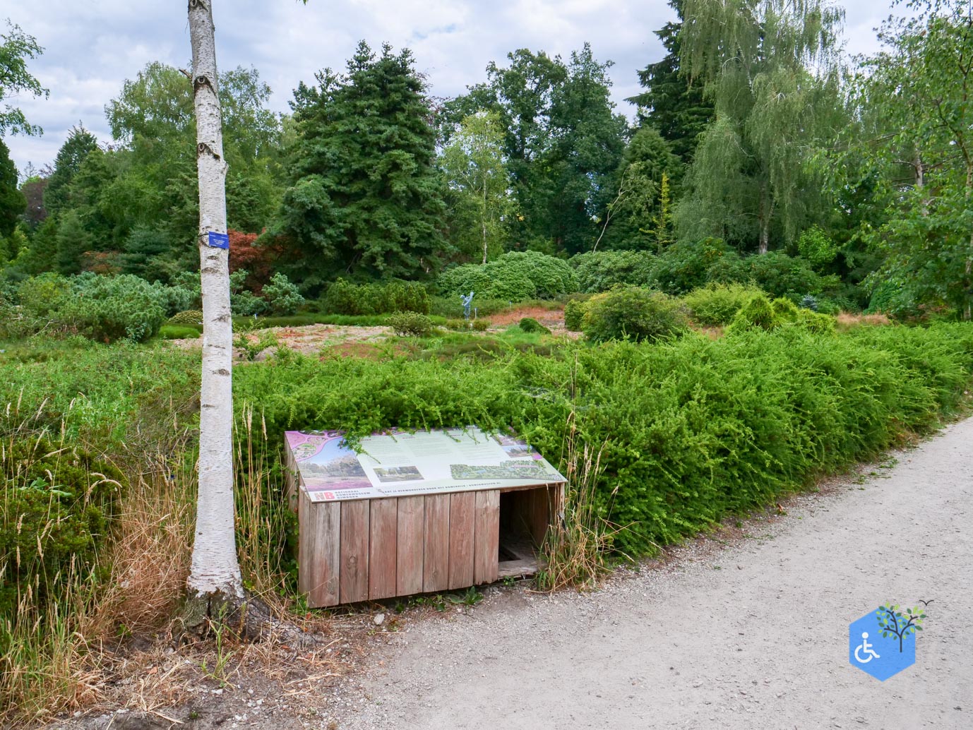 Doorn_Nationaal_Bomenmuseum_Gimborn_01-08-2026-12