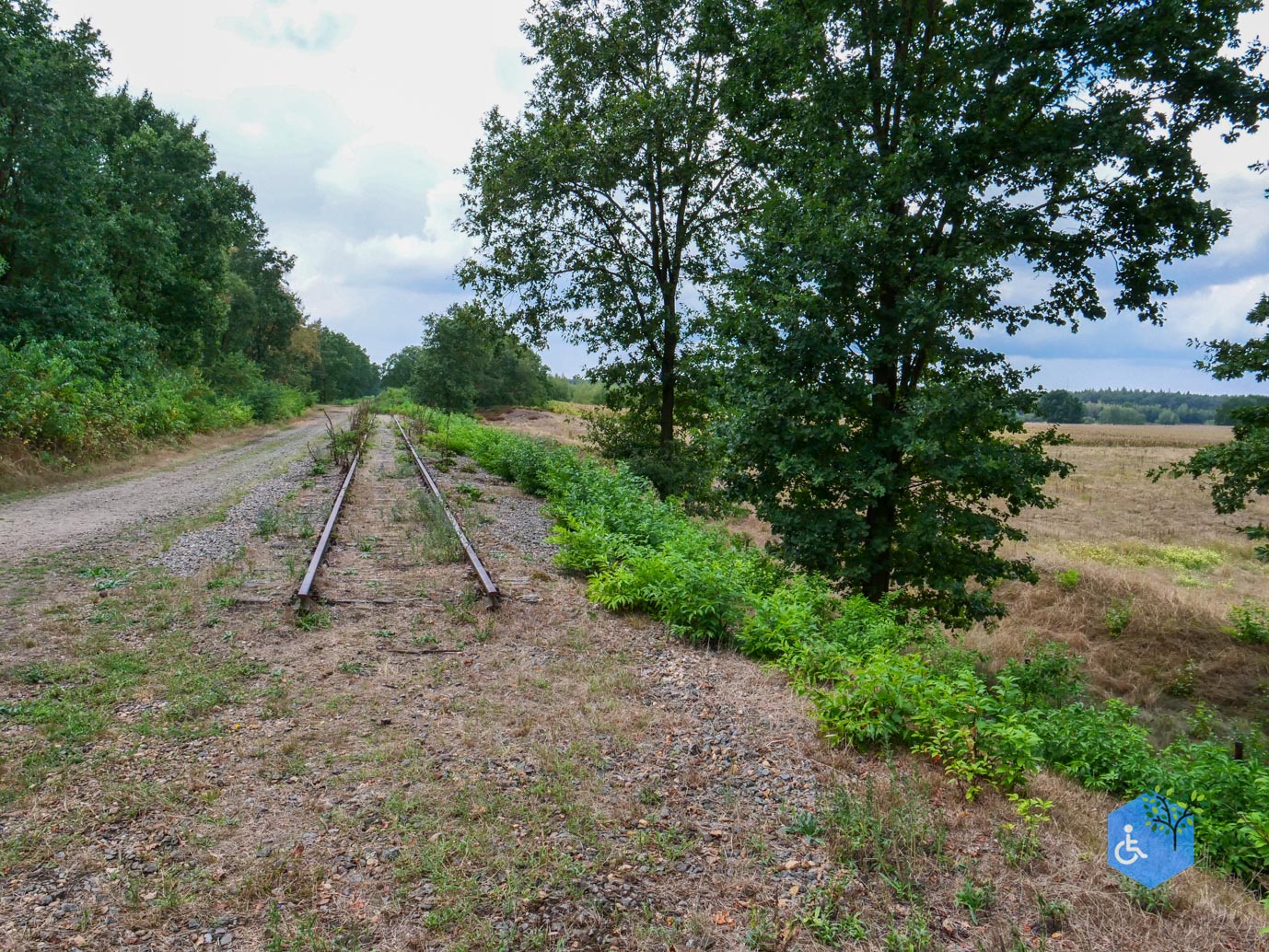 Herkenbosch_Familiepad_Meinweg_21-08-2026-05