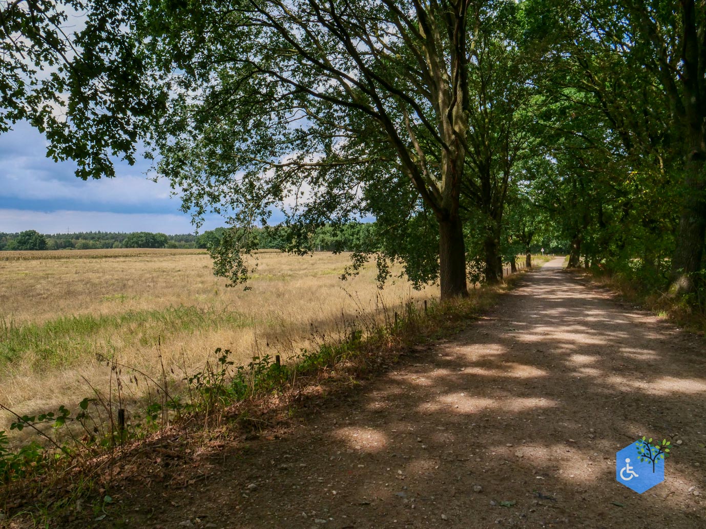 Herkenbosch_Familiepad_Meinweg_21-08-2026-08