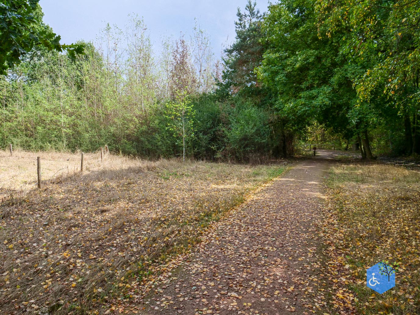 Herkenbosch_Familiepad_Meinweg_21-08-2026-13