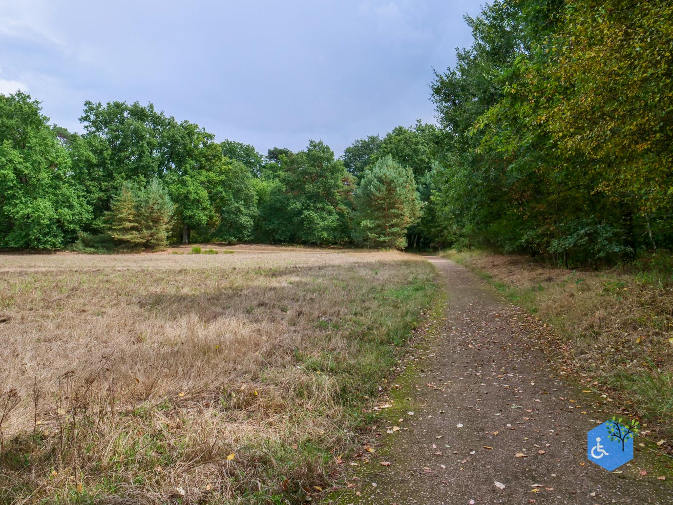 Herkenbosch_Familiepad_Meinweg_21-08-2026-15