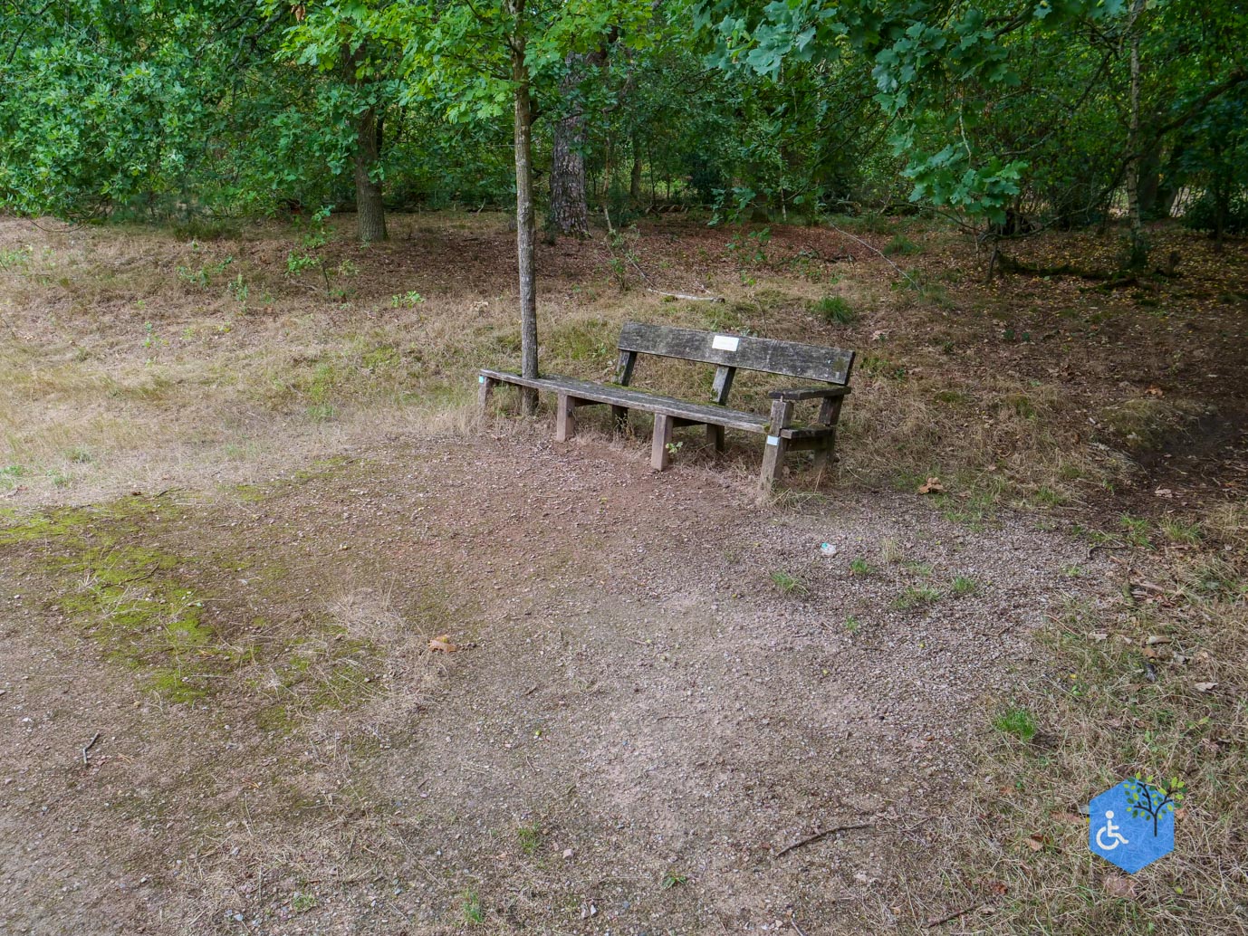 Herkenbosch_Familiepad_Meinweg_21-08-2026-16