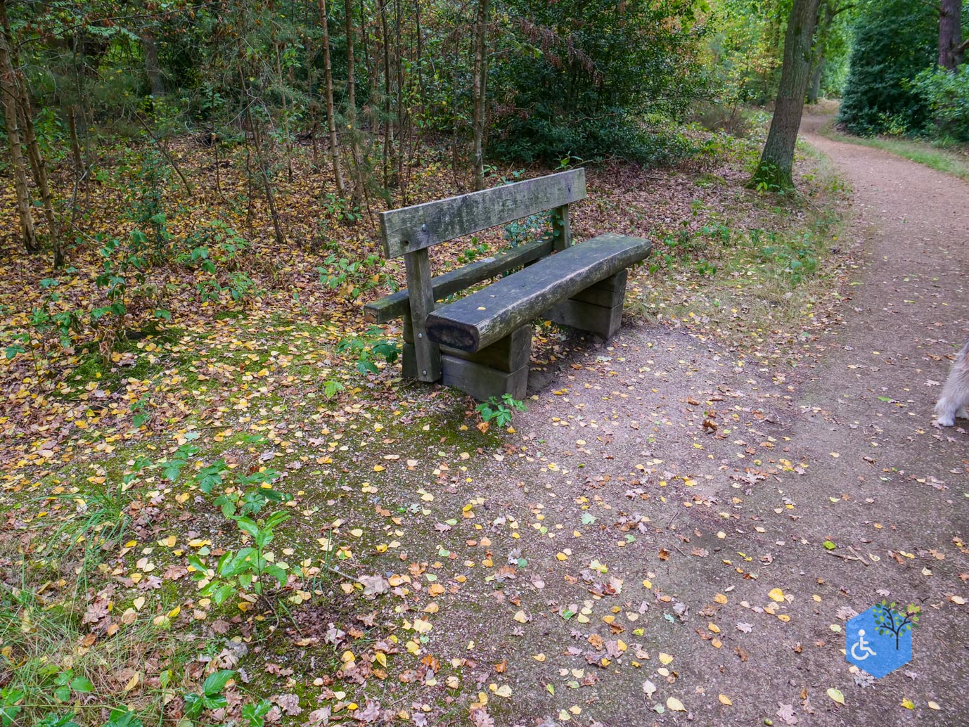 Herkenbosch_Familiepad_Meinweg_21-08-2026-17