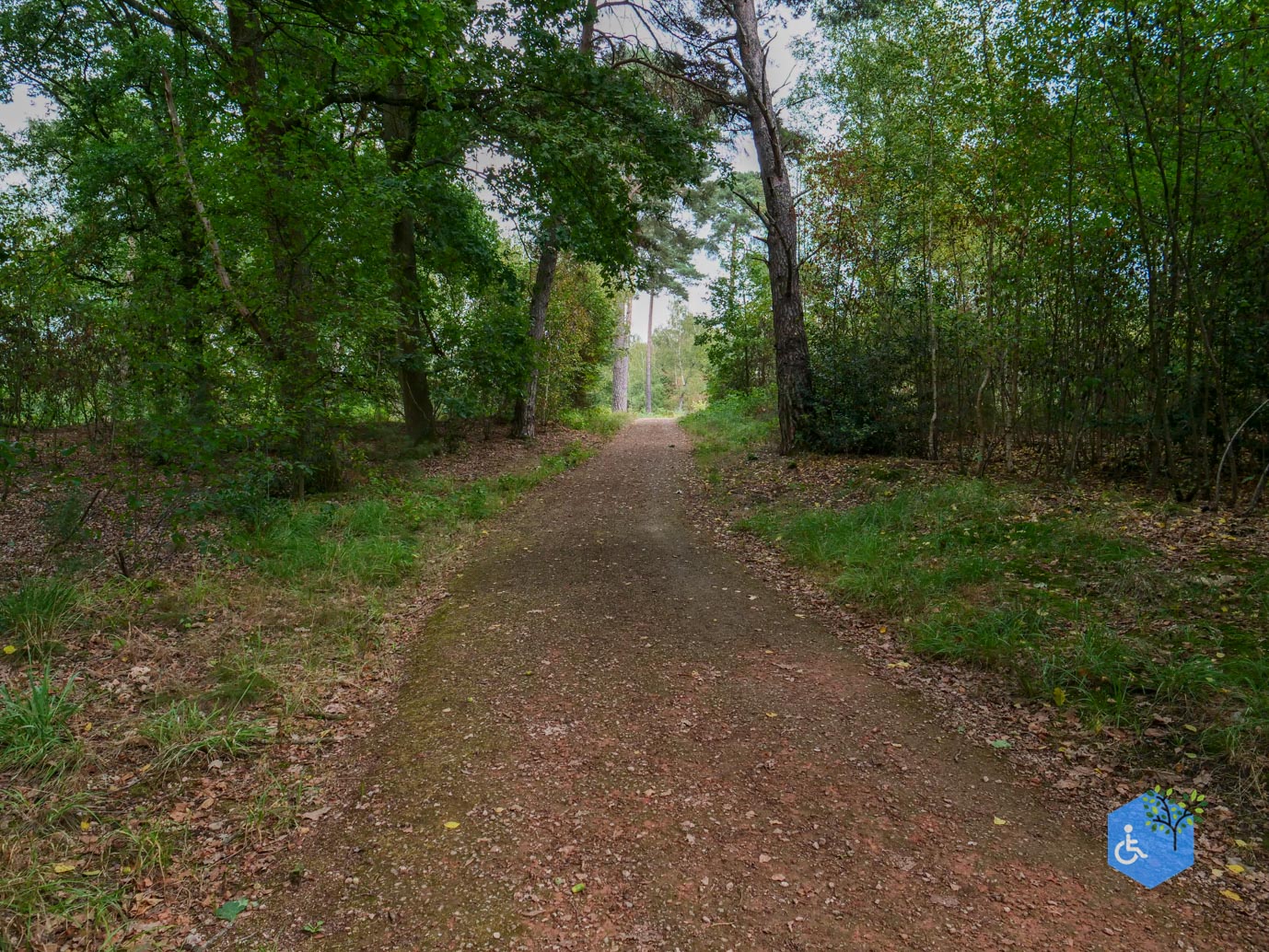 Herkenbosch_Familiepad_Meinweg_21-08-2026-19
