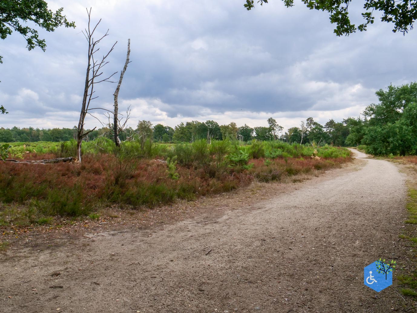 Herkenbosch_Familiepad_Meinweg_21-08-2026-25