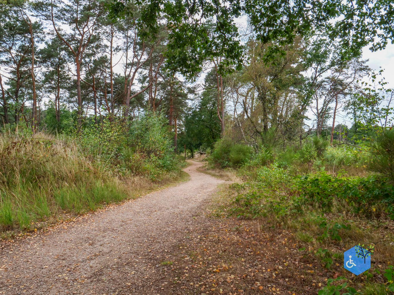 Herkenbosch_Familiepad_Meinweg_21-08-2026-32
