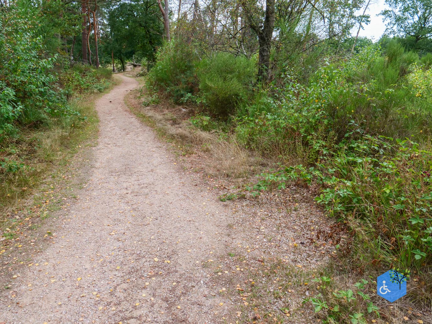 Herkenbosch_Familiepad_Meinweg_21-08-2026-33