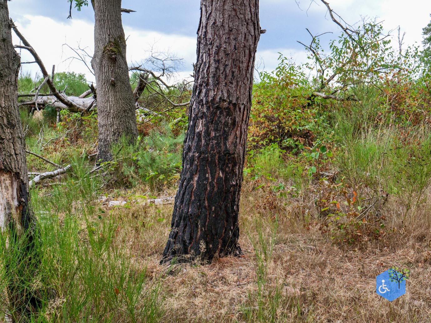 Herkenbosch_Familiepad_Meinweg_21-08-2026-34