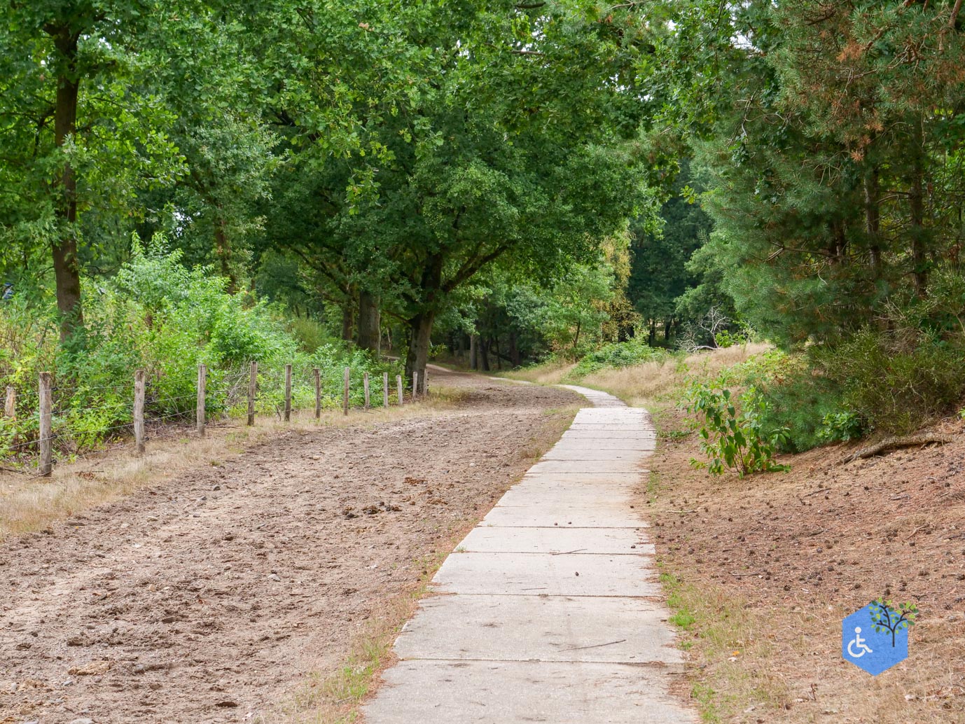 Herkenbosch_Familiepad_Meinweg_21-08-2026-37