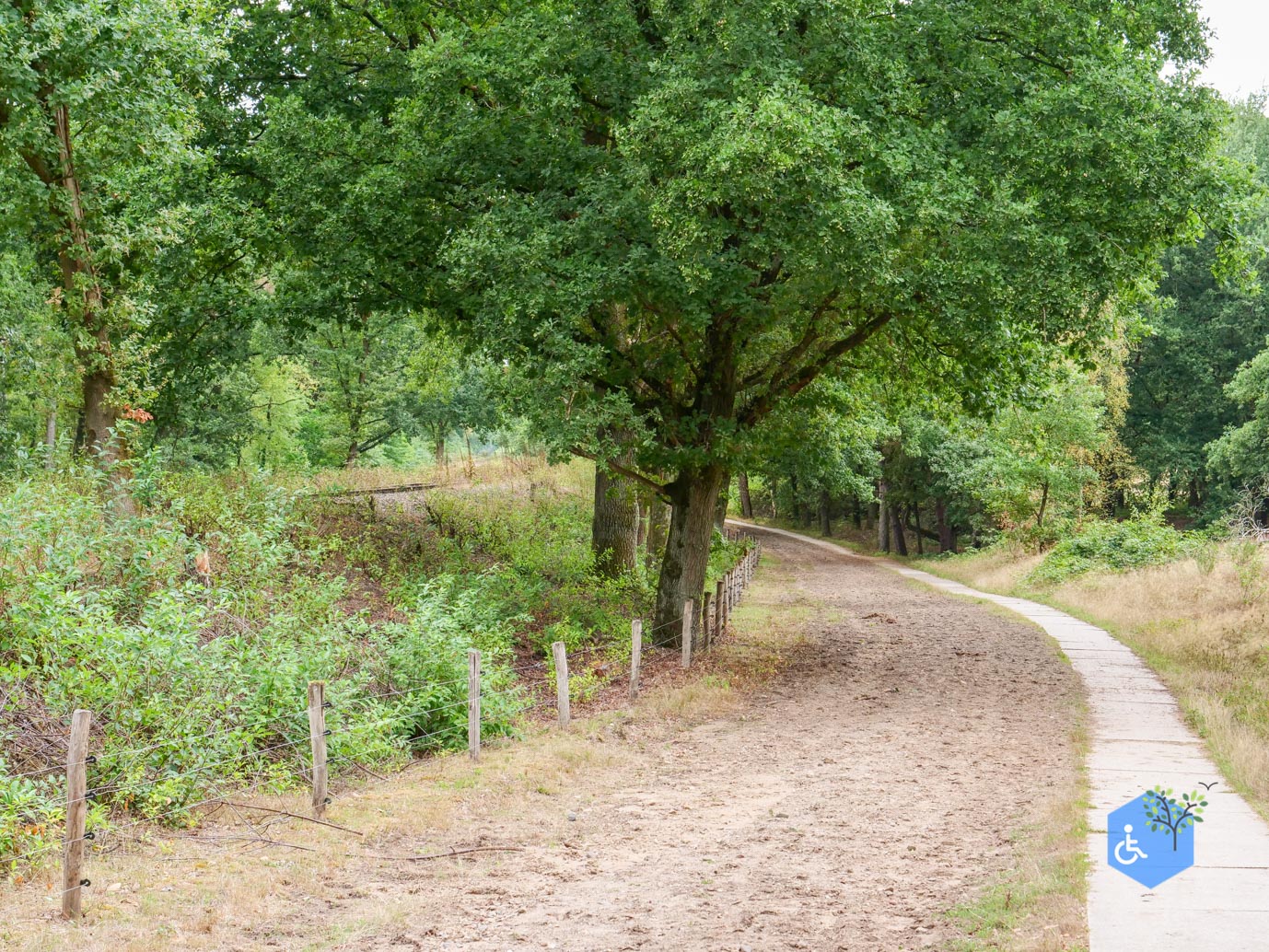 Herkenbosch_Familiepad_Meinweg_21-08-2026-39