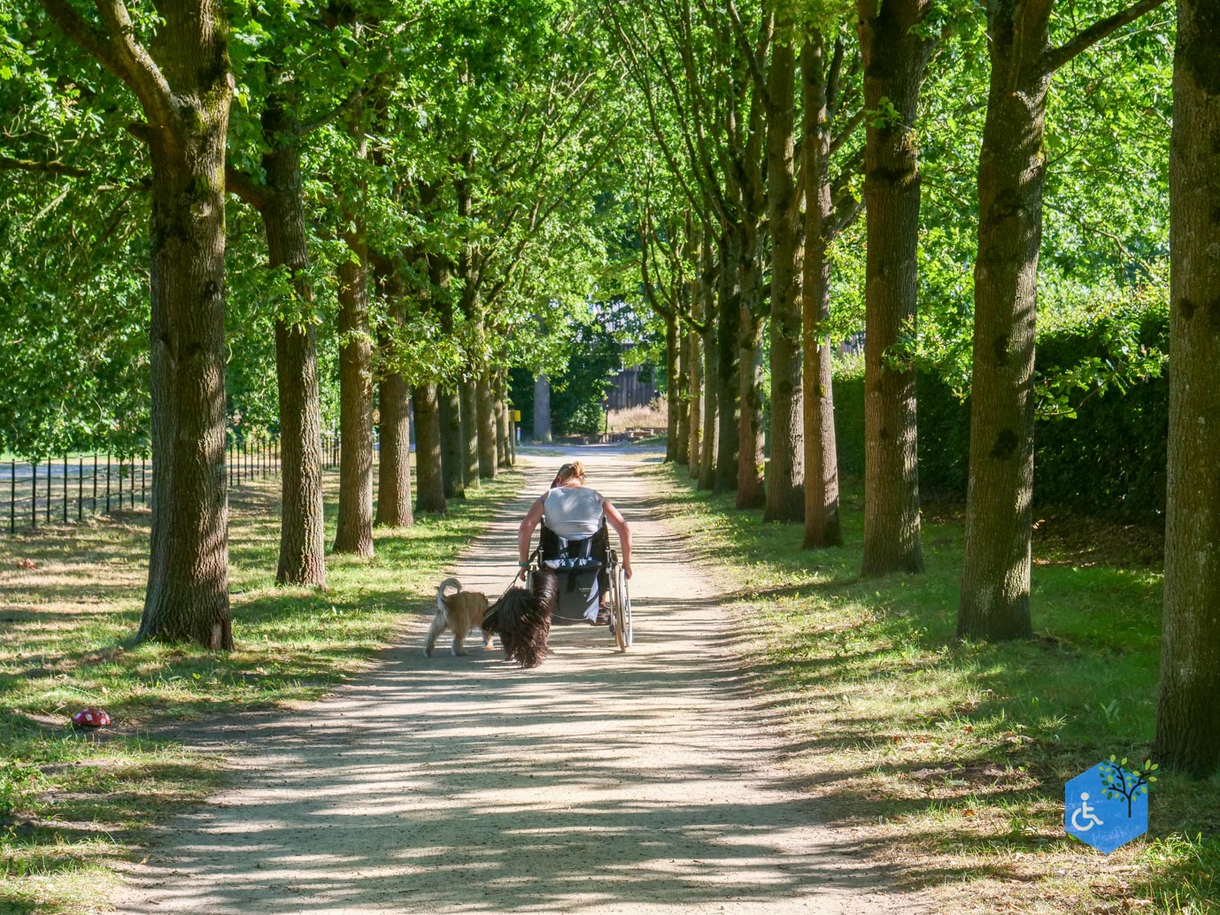 s-Graveland_Buitenplaats_Boekesteyn_alternatief_08-08-2026-16