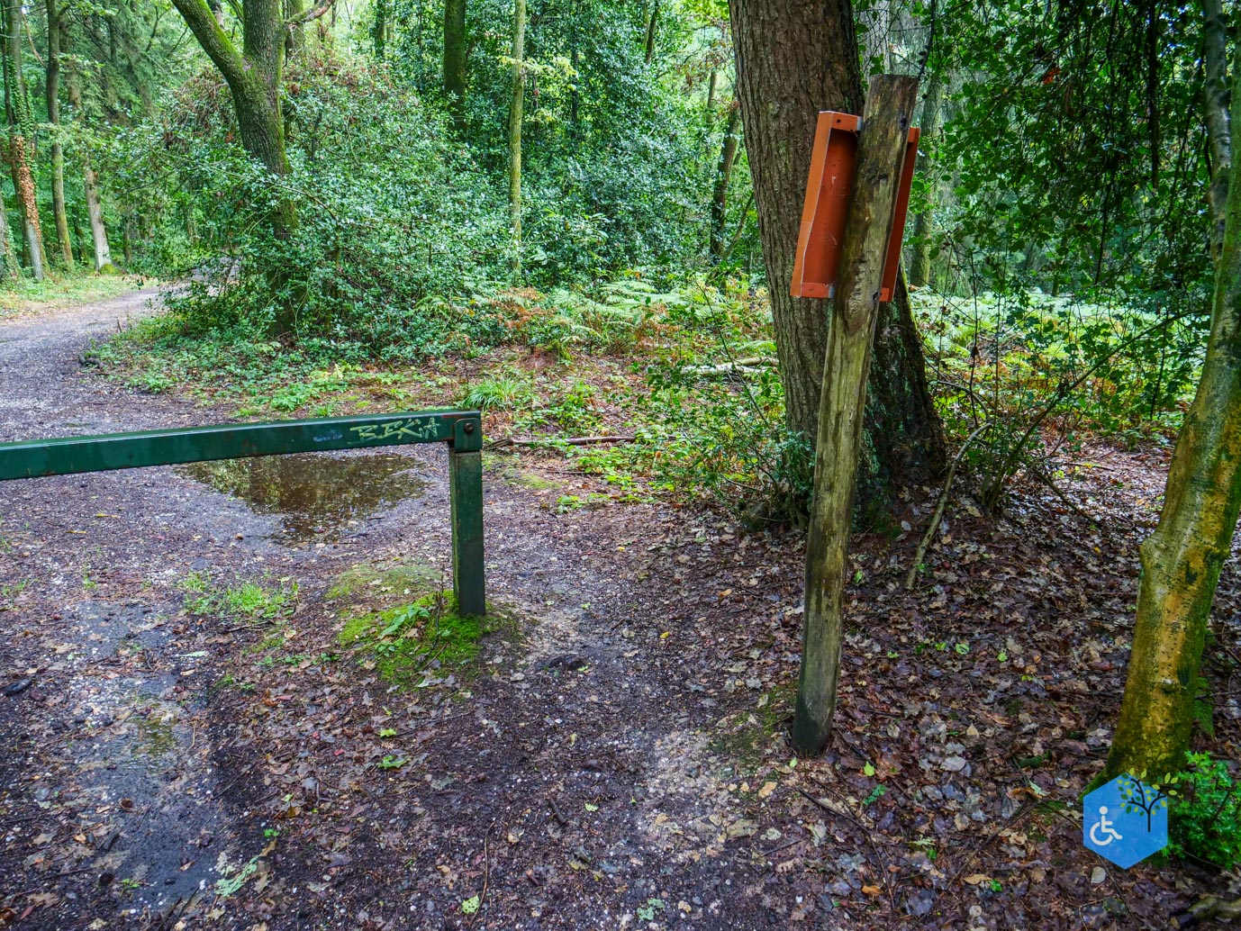 Vijlen_Wandelroute_Malensbos_22-08-2026-21