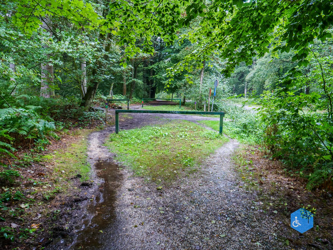 Vijlen_Wandelroute_Malensbos_22-08-2026-31