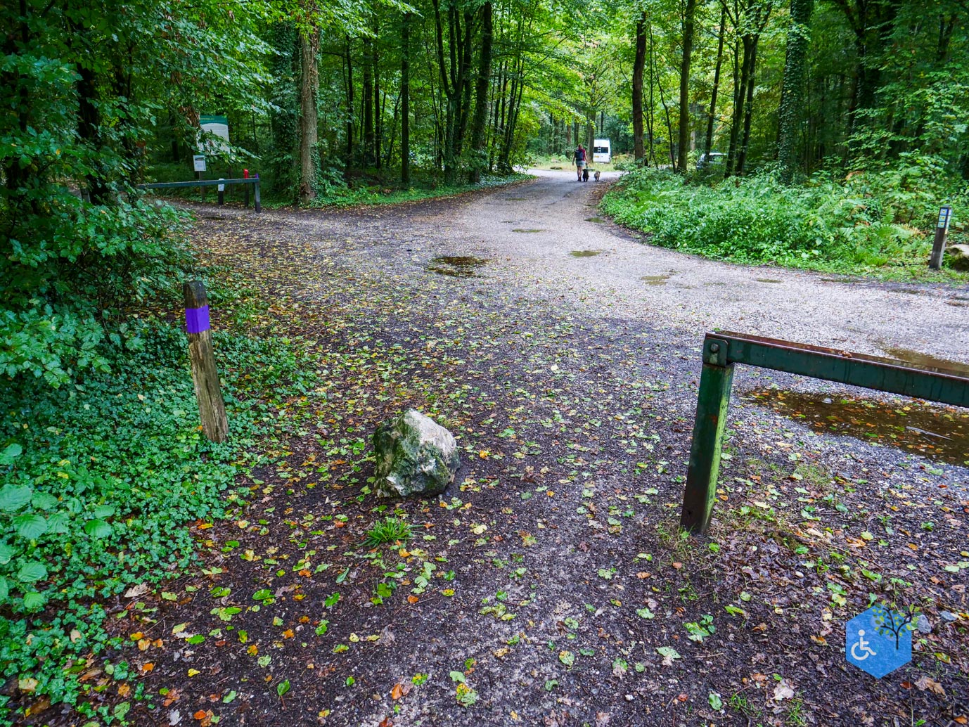 Vijlen_Wandelroute_Malensbos_22-08-2026-35